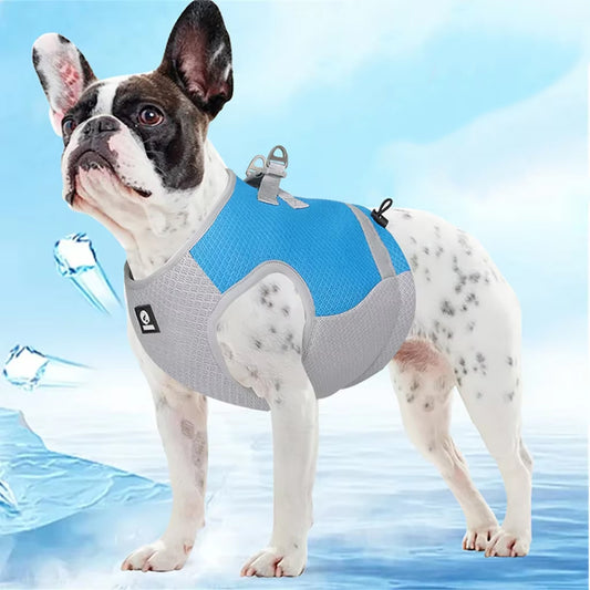 Dog Cooling Harness Vest - ECO TERRA INTERNATIONAL